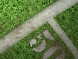 Grass Texture