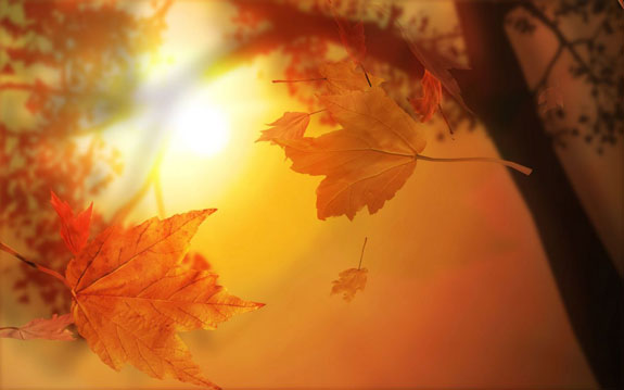 wallpaper nature autumn. Autumn Sunshine